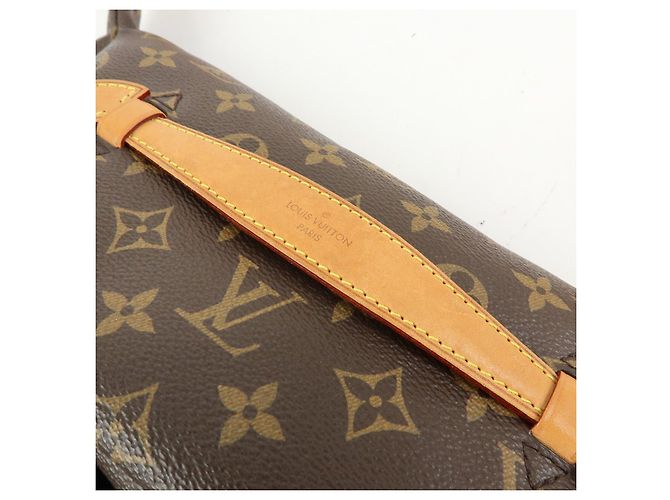 Louis Vuitton Monogram Bum Bag Borsa a Tracolla Borsa a Spalla Brown M43644 - vista 11