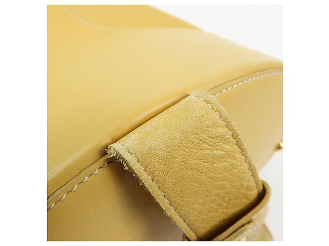 Zaino e Borsa a Tracolla LOEWE Anton Anagram in Pelle Mustard - vista 10