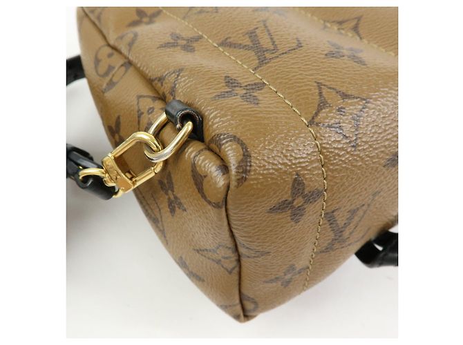 Louis Vuitton Monogram Reverse Palm Springs Backpack Mini M42411 - vista 14