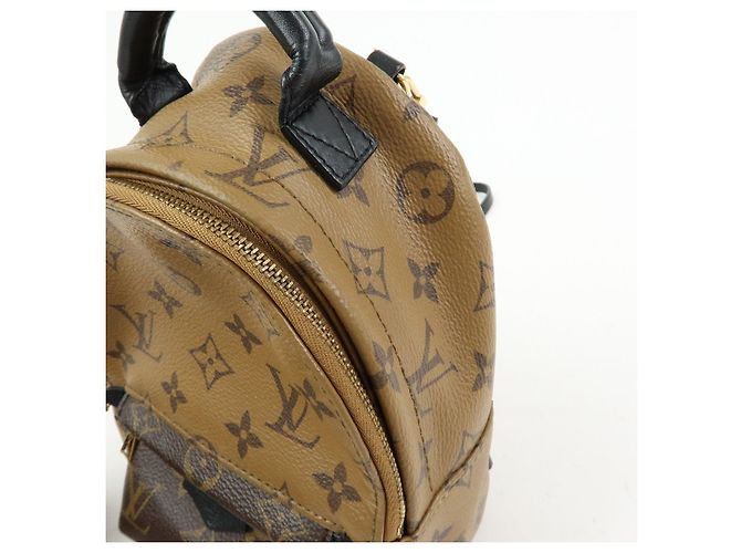 Louis Vuitton Monogram Reverse Palm Springs Backpack Mini M42411 - vista 15