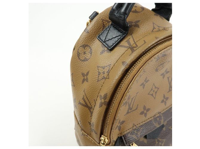 Louis Vuitton Monogram Reverse Palm Springs Backpack Mini M42411 - vista 16