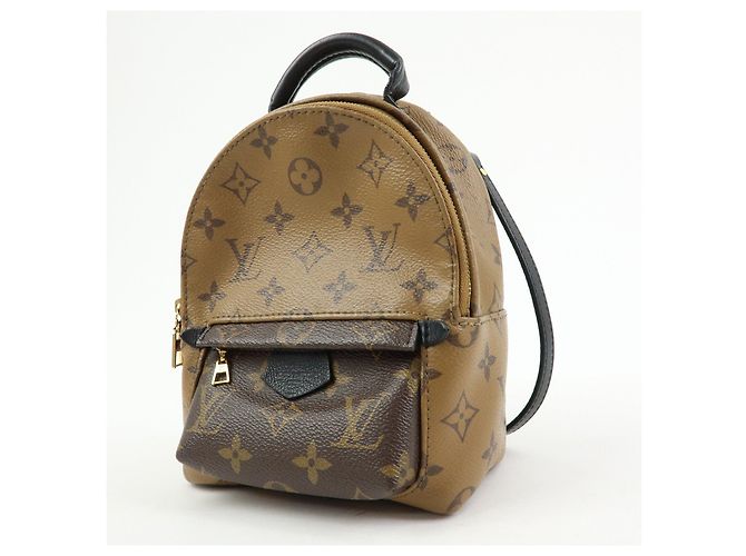 Louis Vuitton Monogram Reverse Palm Springs Backpack Mini M42411 - vista 3