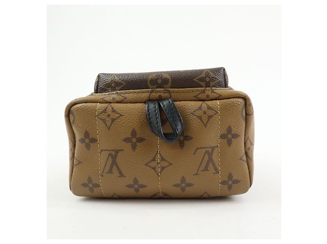 Louis Vuitton Monogram Reverse Palm Springs Backpack Mini M42411 - vista 5