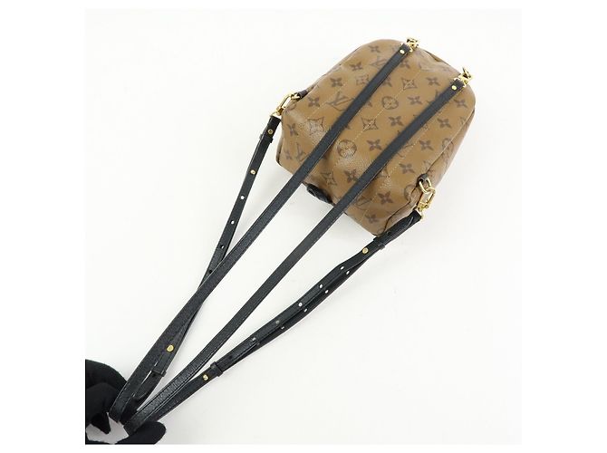 Louis Vuitton Monogram Reverse Palm Springs Backpack Mini M42411 - vista 6