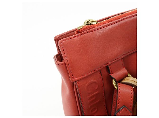 Chloé Borsa a spalla Chloe Eden in pelle Borsa crossbody con nappe Rossa - vista 15