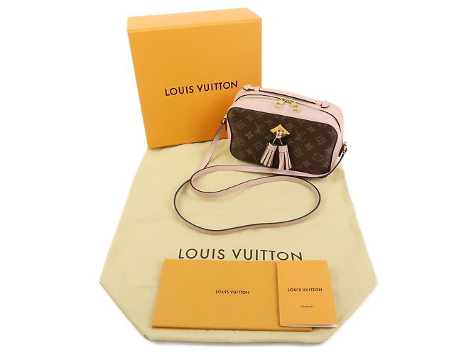 Borsa a tracolla Louis Vuitton Monogram Saintonge Canvas Rose Poodle M44442 - vista 12