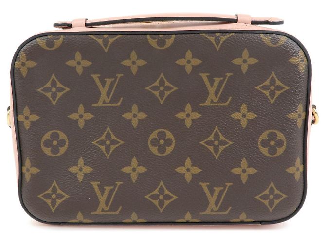 Borsa a tracolla Louis Vuitton Monogram Saintonge Canvas Rose Poodle M44442 - vista 2