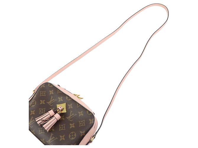 Borsa a tracolla Louis Vuitton Monogram Saintonge Canvas Rose Poodle M44442 - vista 4