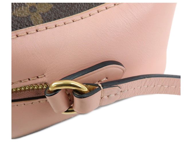 Borsa a tracolla Louis Vuitton Monogram Saintonge Canvas Rose Poodle M44442 - vista 5