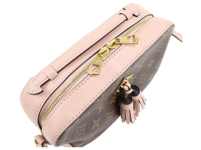 Borsa a tracolla Louis Vuitton Monogram Saintonge Canvas Rose Poodle M44442 - vista 8