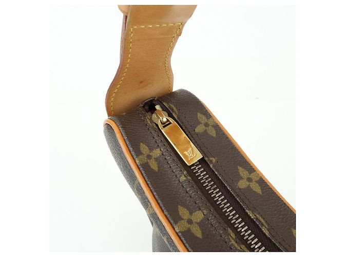 Borsa a tracolla Louis Vuitton Monogram Croissant MM in pelle Marrone M51512 - vista 18