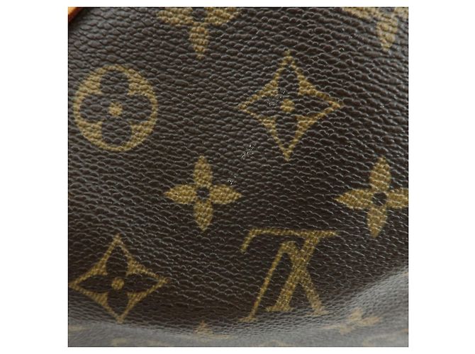 Borsa a mano Louis Vuitton Monogram Speedy 25 Boston Bag Marrone M41528 - vista 14