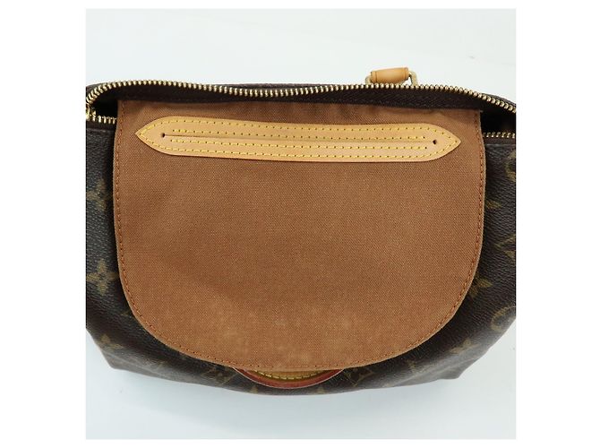 Borsa a mano Louis Vuitton Monogram Speedy 25 Boston Bag Marrone M41528 - vista 22
