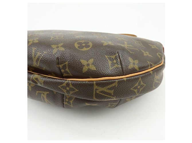 Borsa a tracolla Louis Vuitton Monogram Croissant MM Brown M51512 - vista 12