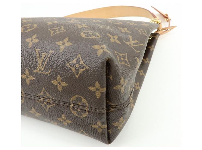 Borsa a tracolla Louis Vuitton Monogram Graceful PM Monogram M43701 - vista 13