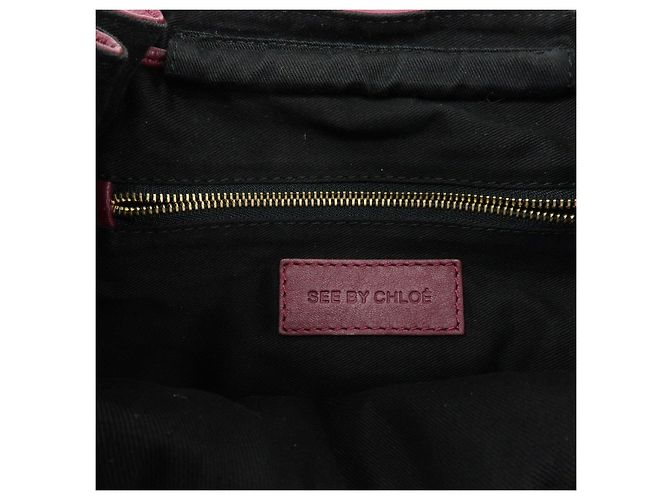 Chloé Borsa a tracolla in pelle Chloe See By Chloe Bordeaux - vista 23