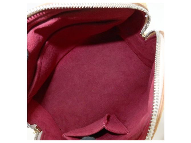 Borsa a mano Louis Vuitton Monogram Priscilla Multicolor Blanc M40096 - vista 21