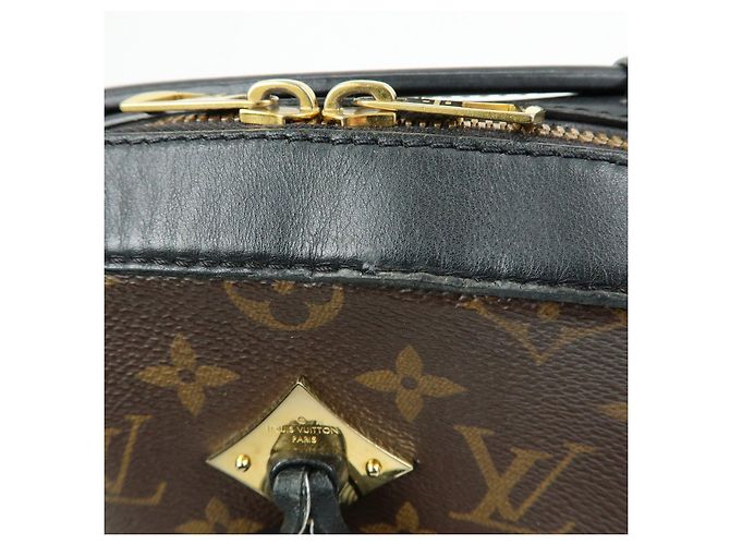 Borsa a tracolla Louis Vuitton Monogram Canvas Leather Saintonge M43555 - vista 19