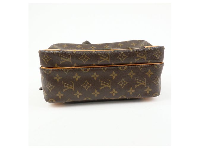 Louis Vuitton Monogram Nile Shoulder Bag Crossbody Bag M45244 - vista 5