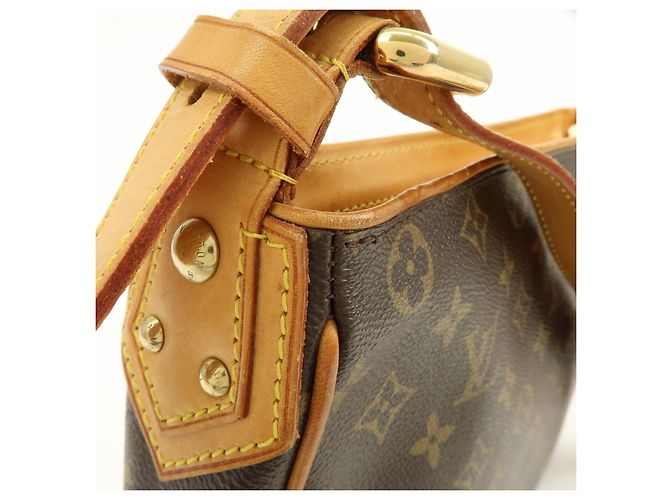 Borsa a tracolla Louis Vuitton Monogram Hudson GM Brown M40045 - vista 14