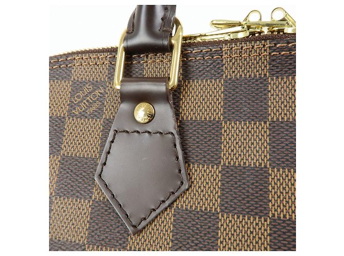 Borsa a mano Louis Vuitton Damier Canvas Leather Alma PM Brown N51131 - vista 10