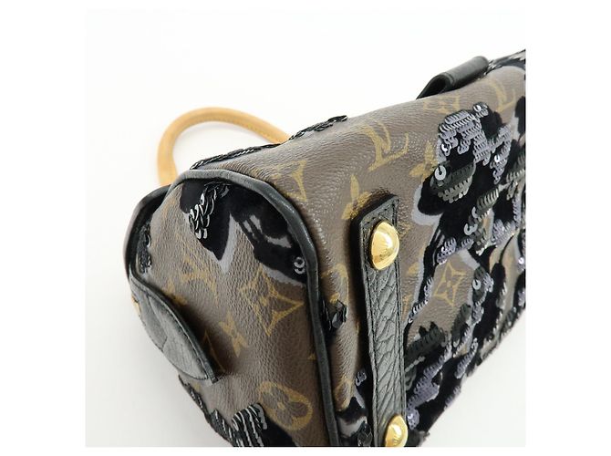 Louis Vuitton Monogram Fleur de Jais Carrousel Hand Bag M40434 - vista 11