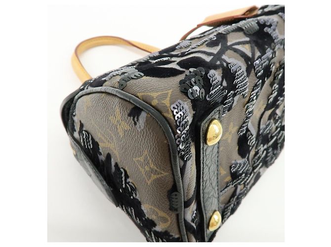 Louis Vuitton Monogram Fleur de Jais Carrousel Hand Bag M40434 - vista 13