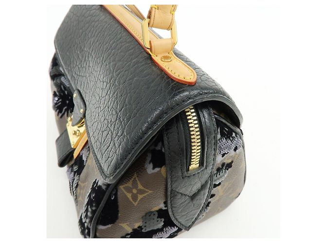Louis Vuitton Monogram Fleur de Jais Carrousel Hand Bag M40434 - vista 16