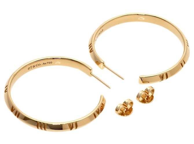Autre Marque Orecchini a cerchio Tiffany & Co. Atlas X in oro rosa - vista 3