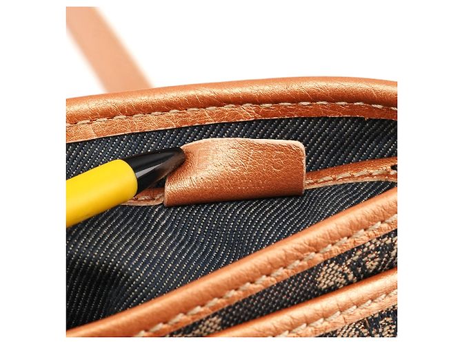 Céline Borsa a tracolla Triomphe Canvas Grigia - vista 13