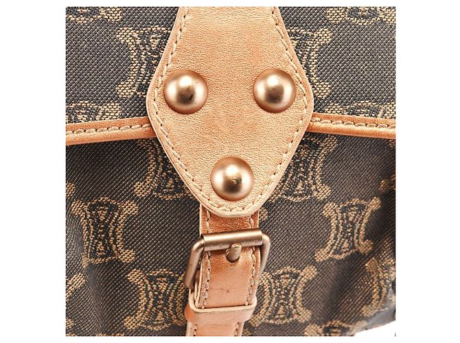 Céline Borsa a tracolla Triomphe Canvas Grigia - vista 6
