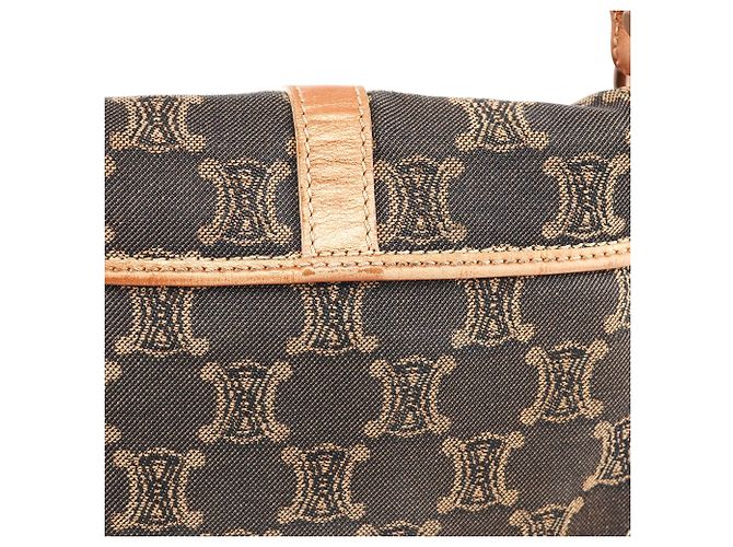 Céline Borsa a tracolla Triomphe Canvas Grigia - vista 8