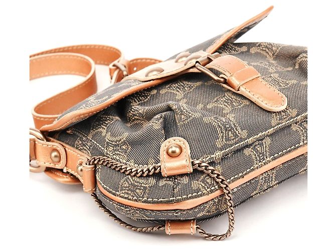 Céline Borsa a tracolla Triomphe Canvas Grigia - vista 9