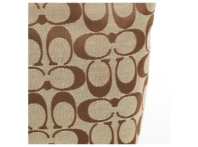 Coach Borsa a tracolla hobo floreale Beige Gold F16879 - vista 12