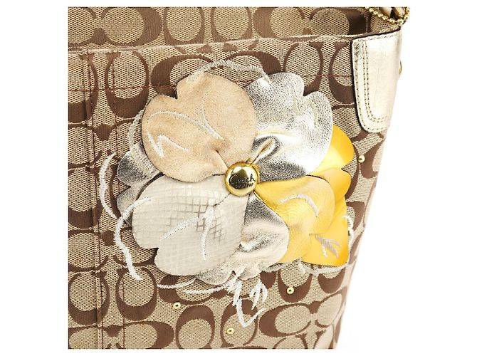 Coach Borsa a tracolla hobo floreale Beige Gold F16879 - vista 6
