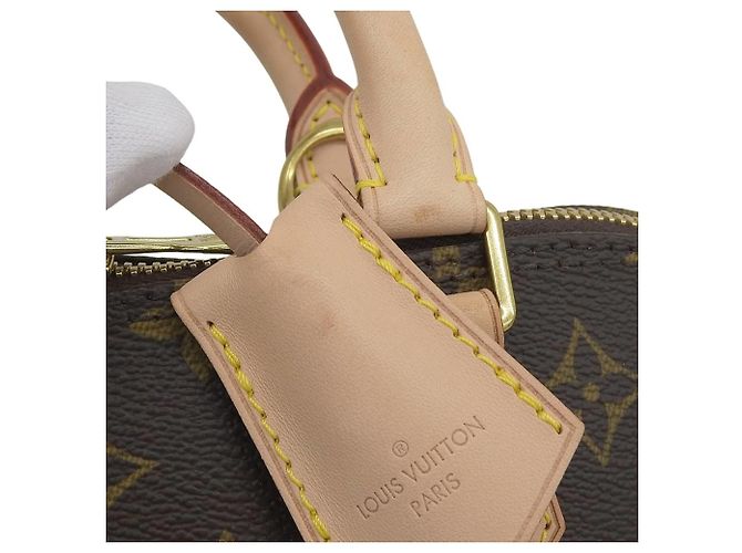 Borsa Louis Vuitton Monogram Alma PM - vista 5