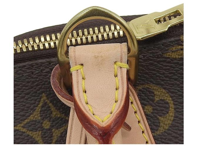 Borsa Louis Vuitton Monogram Alma PM - vista 7