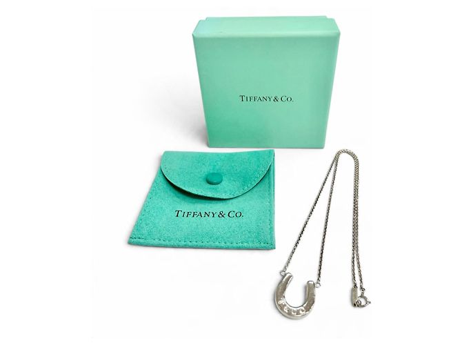 Autre Marque Collana con ciondolo a ferro di cavallo Tiffany & Co. 925 - vista 2