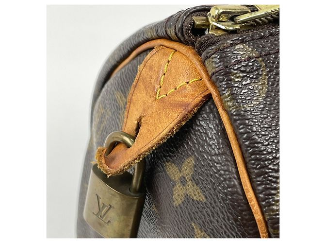 Borsa Louis Vuitton Speedy 25 - vista 4