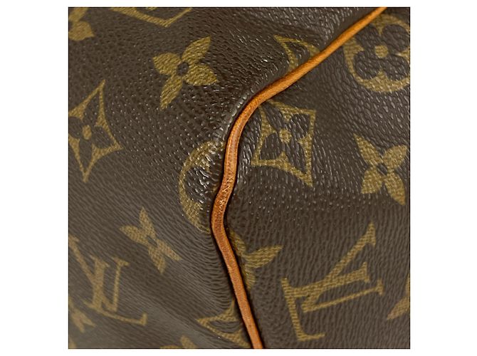 Borsa Louis Vuitton Speedy 30 - vista 3