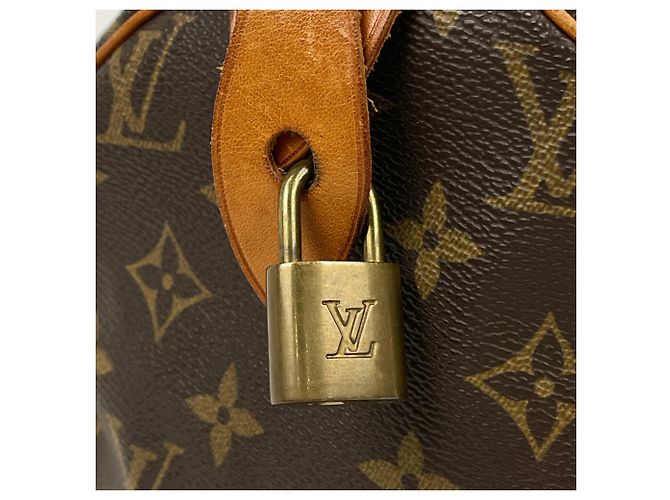 Borsa Louis Vuitton Speedy 30 - vista 4