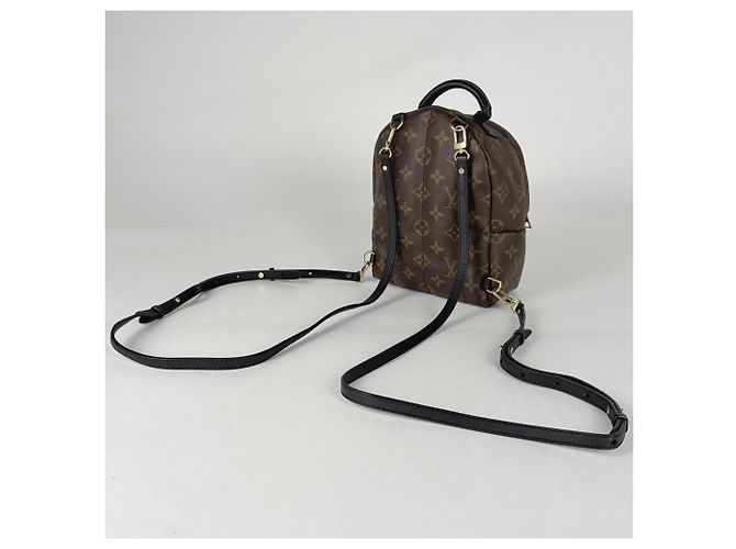 Louis Vuitton Palm Springs Backpack MINI - vista 2