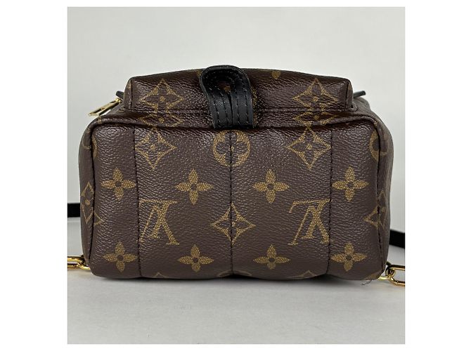 Louis Vuitton Palm Springs Backpack MINI - vista 3
