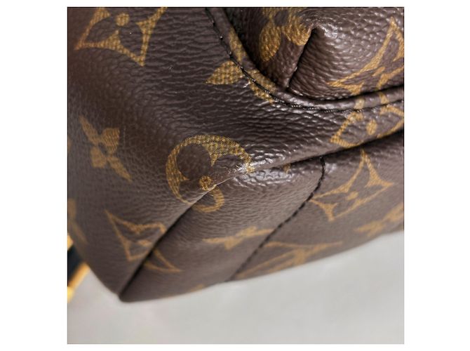 Louis Vuitton Palm Springs Backpack MINI - vista 4