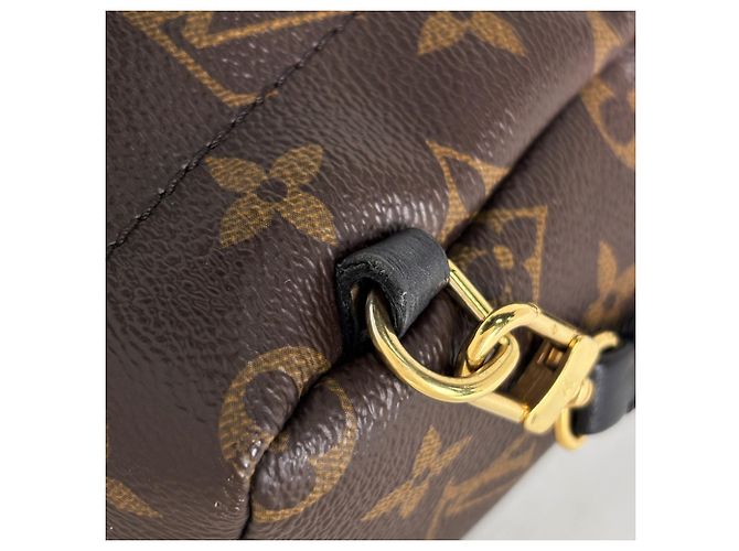 Louis Vuitton Palm Springs Backpack MINI - vista 6