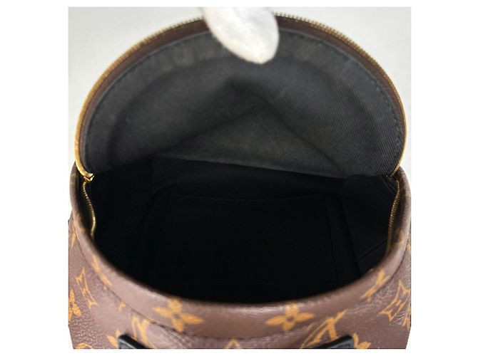 Louis Vuitton Palm Springs Backpack MINI - vista 8