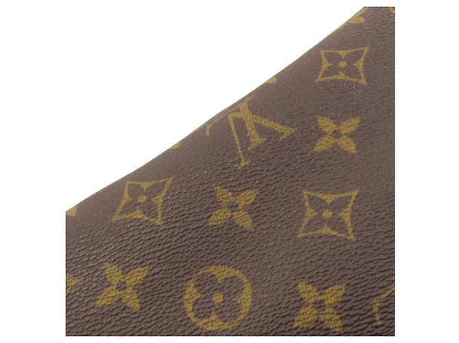Louis Vuitton M40155 Neverfull PM Tote Bag - vista 12