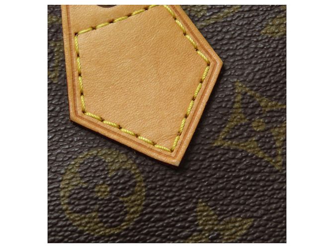 Borsa Louis Vuitton M41522 Speedy 40 - vista 14