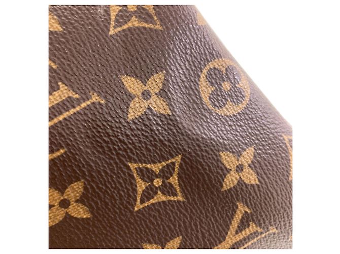 Louis Vuitton M41109 Speedy 25 Handbag - vista 10