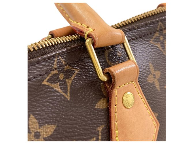 Louis Vuitton M41109 Speedy 25 Handbag - vista 13
